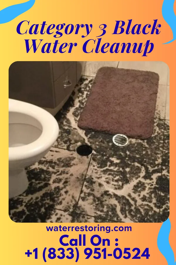 Category 3 Black Water Cleanup in Harris, MO
