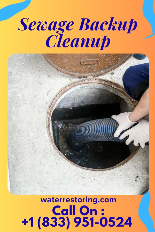 Sewage Backup Cleanup in Harris, MO